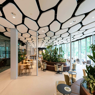 211834_solo_freedom_hexagon_3600px